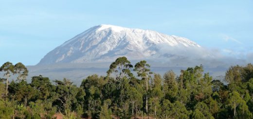 nature-kilimanjaro-mountain
