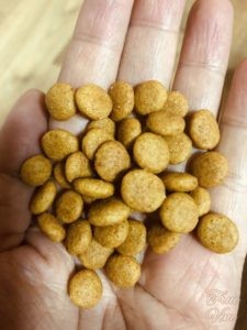 ロイヤルカナン