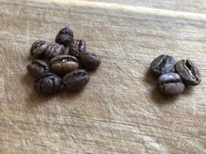 ピーベリーコスタリカタラス