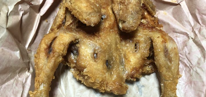 イェンナルトンダクチキン