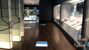 地質博物館1階展示室