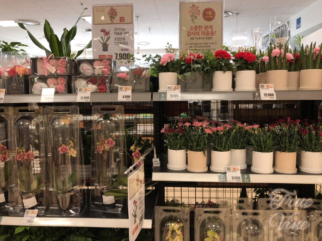 カーネーション売り場