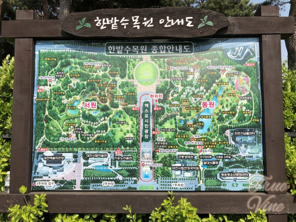 ハンバッスモグォン