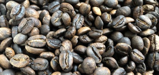 メキシコオアハカコーヒー豆