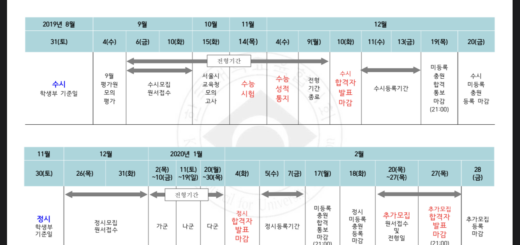 2020대입일정