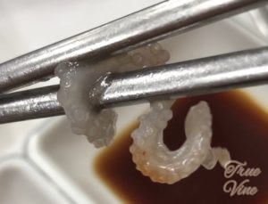 산낙지サンナクチ一切れ