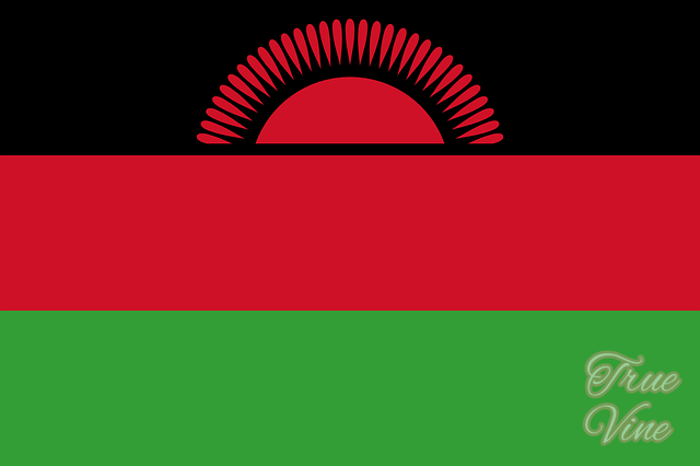 malawi_flag